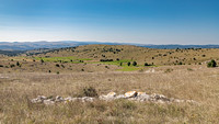 Le sauveterre
